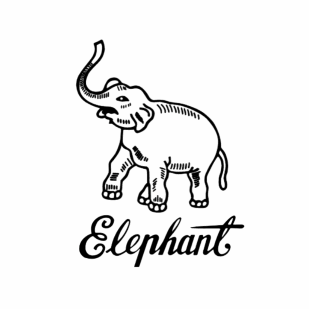 elephant playing cards